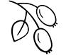 Hagebuttenöl